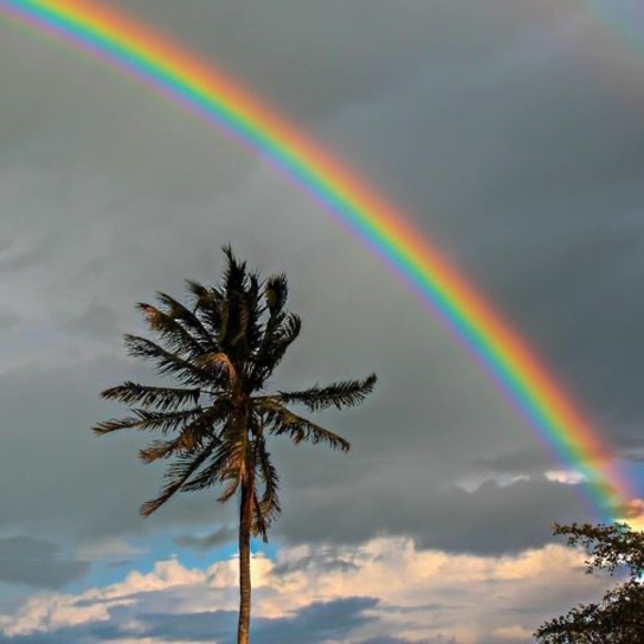 Meet your Posher, Gina - Picture 1 of 1